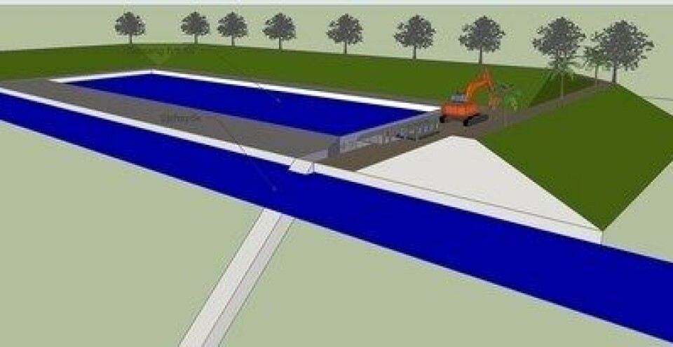 Laks på land basseng