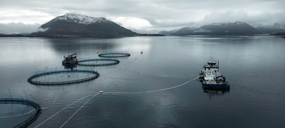 ILA påvist på Måsøval-lokalitet