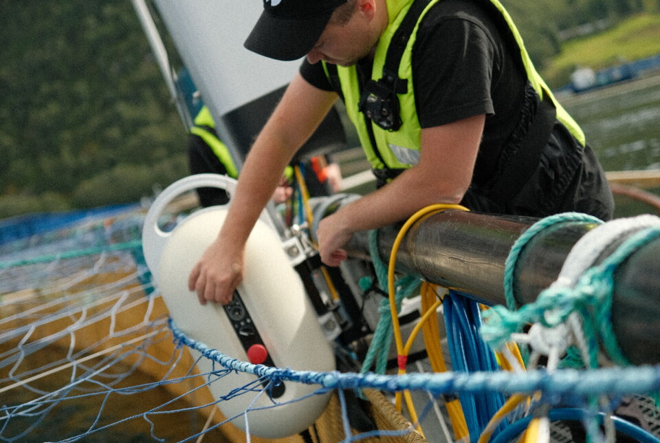 Dataskapet ved merdkanten samler all informasjon fra kameraet.