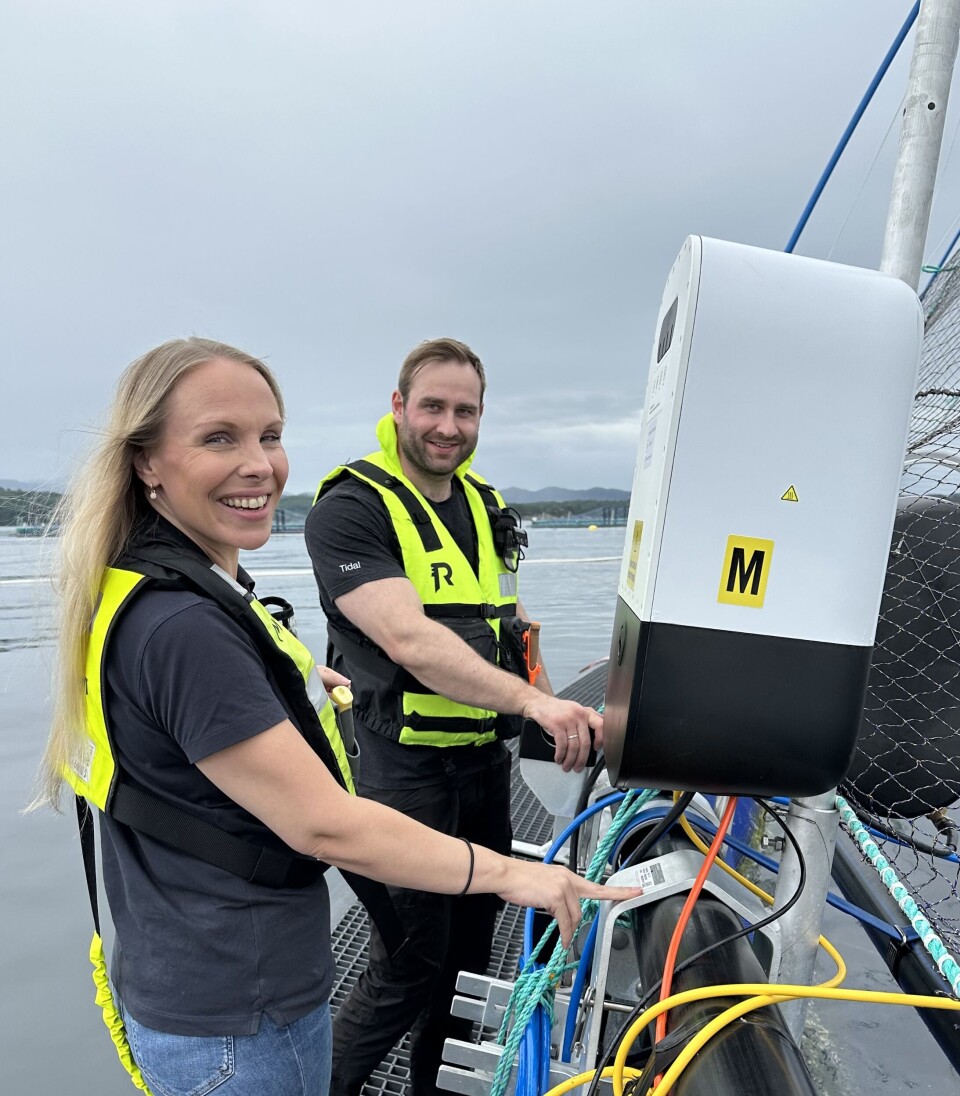 Christine Schalde og Jørgen Bjellvåg er feltingeniører i Tidal. De jobber fra selskapets Kristiansund-base.