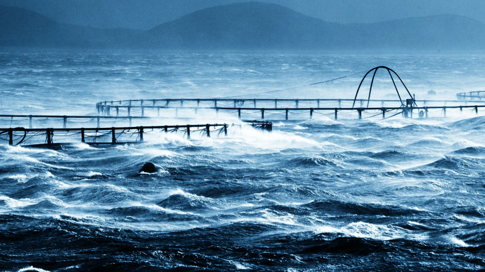 Storm på Kråkholmen III