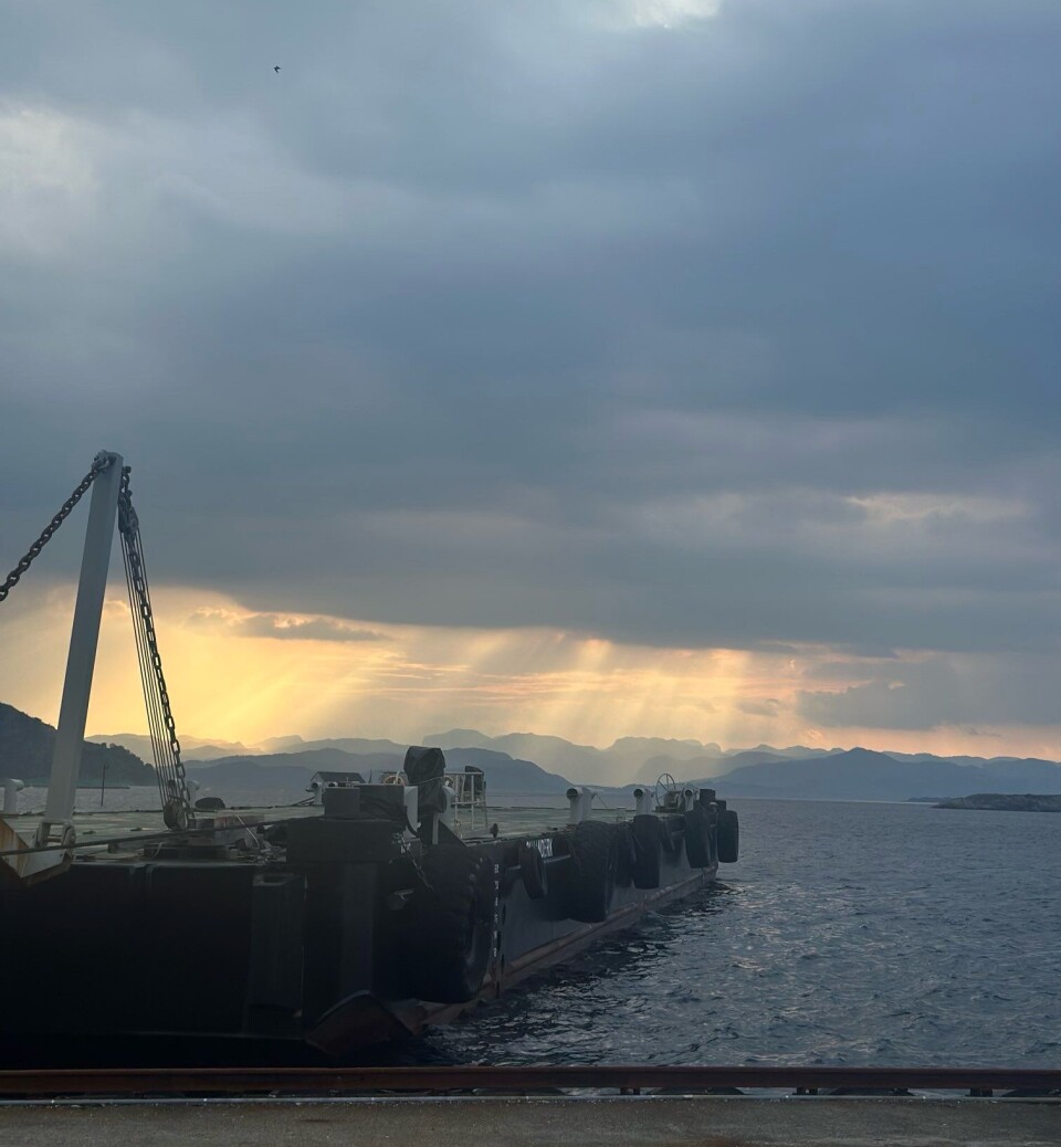 Slik så det ut i dag når Tetiana dro ut på opplæring ved sjøen med Blue Lice.