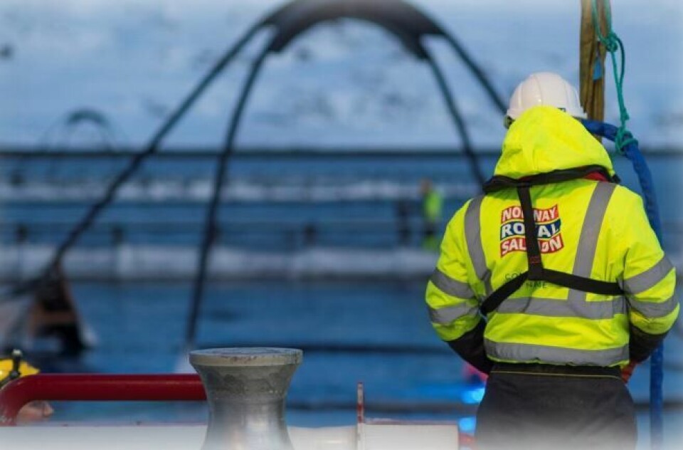 NRS har fått nytt styre. Foto: Norway Royal Salmon. NRS har fått nytt styre. Foto: Norway Royal Salmon.