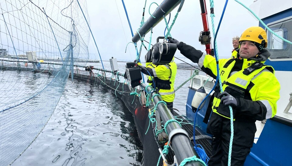 Fra feltundersøkelse i det FHF-finansierte TELLUS-prosjektet. Avbildet her er Einar Wangberg fra OptoScale