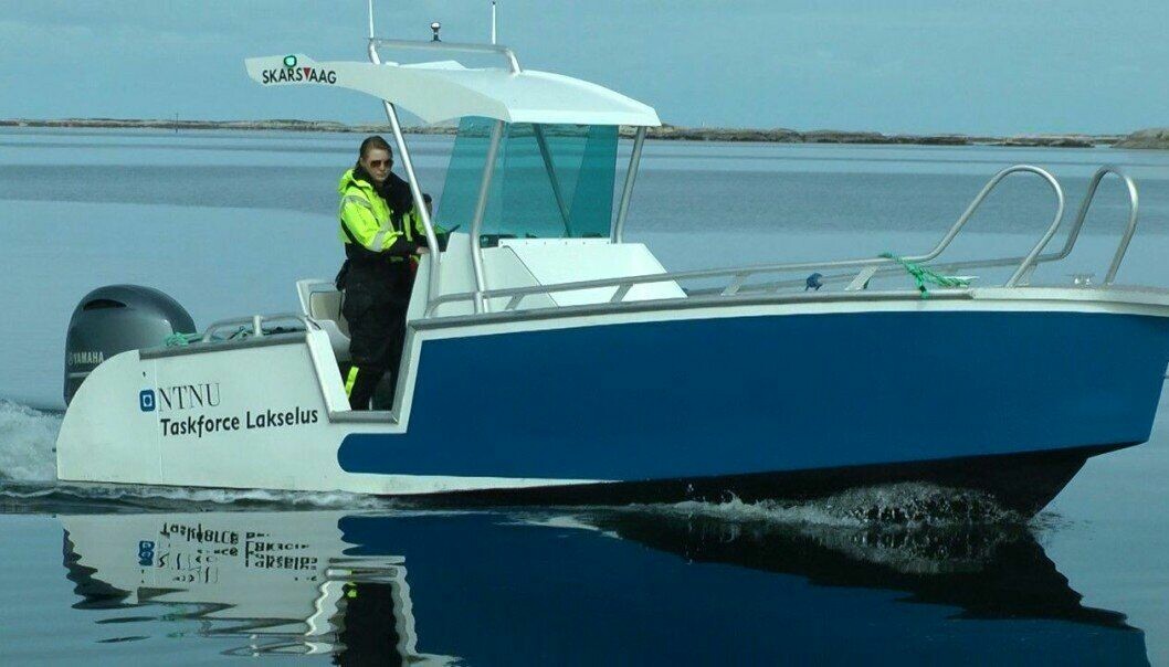 Lone Jevne har tatt en doktorgrad på tiltak som kan forsinke angrep av lakselus i oppdrettsanlegg. Her er hun i en båt fra Taskforce Lakselus ved NTNU og Blått kompetansesenter på Frøya i Trøndelag. Foto: John Birger Stav