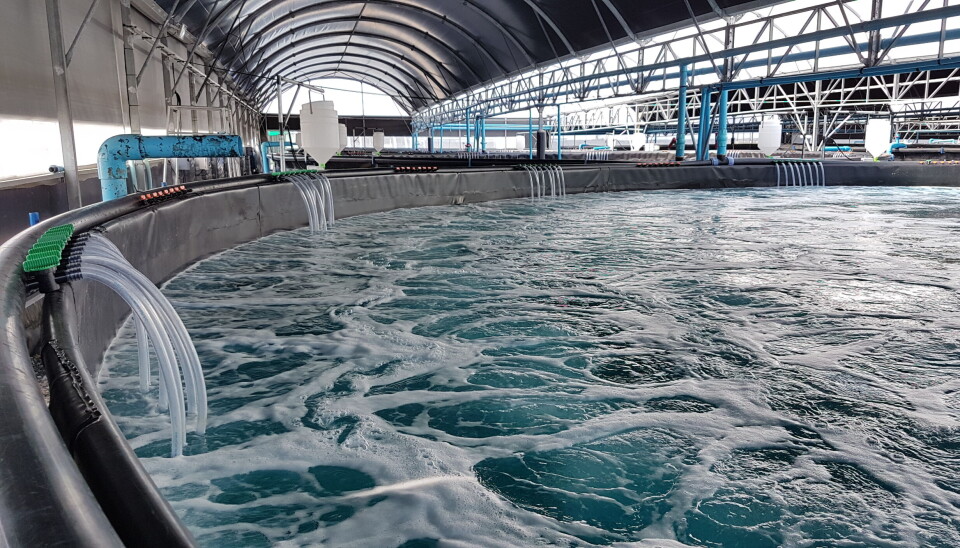 Improve water quality in aquaculture with ultraviolet treatment