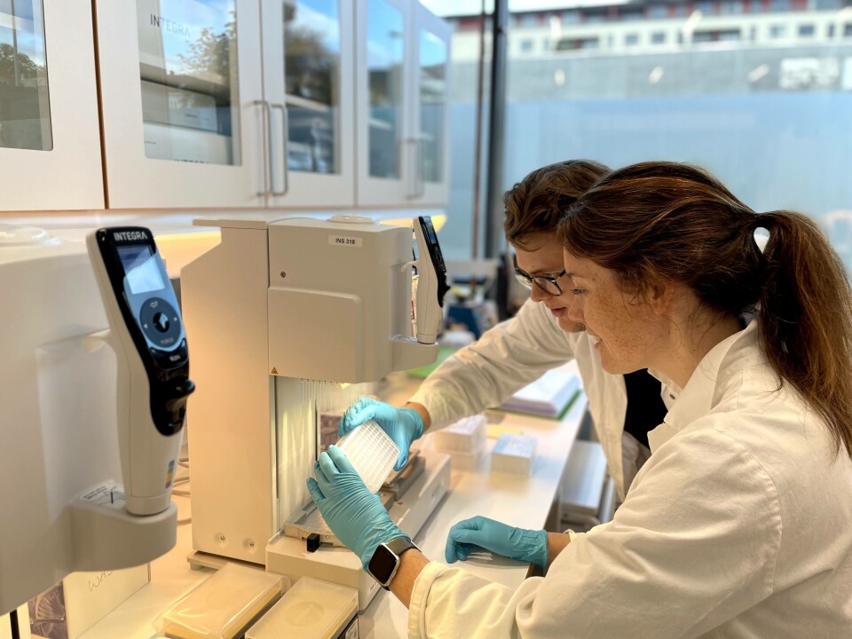 Preben Sangolt og Sigrid Rørvik jobber med genotypering av DNA i laboratoriet hos Blue Analytics. Foto: Blue Analytics. Preben Sangolt og Sigrid Rørvik jobber med genotypering av DNA i laboratoriet hos Blue Analytics. Foto: Blue Analytics.