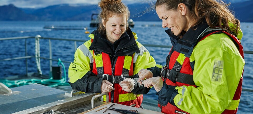 Mattilsynet mener de nå får bedre kontroll på næringen