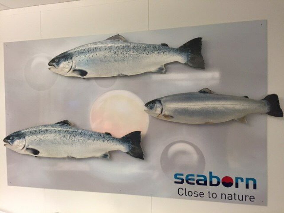 Foto: Seaborn