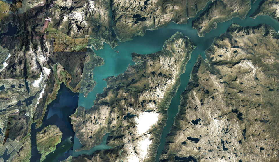 Et satellittbilde av Hardangerfjorden viser våroppblomstringen i all sin prakt.