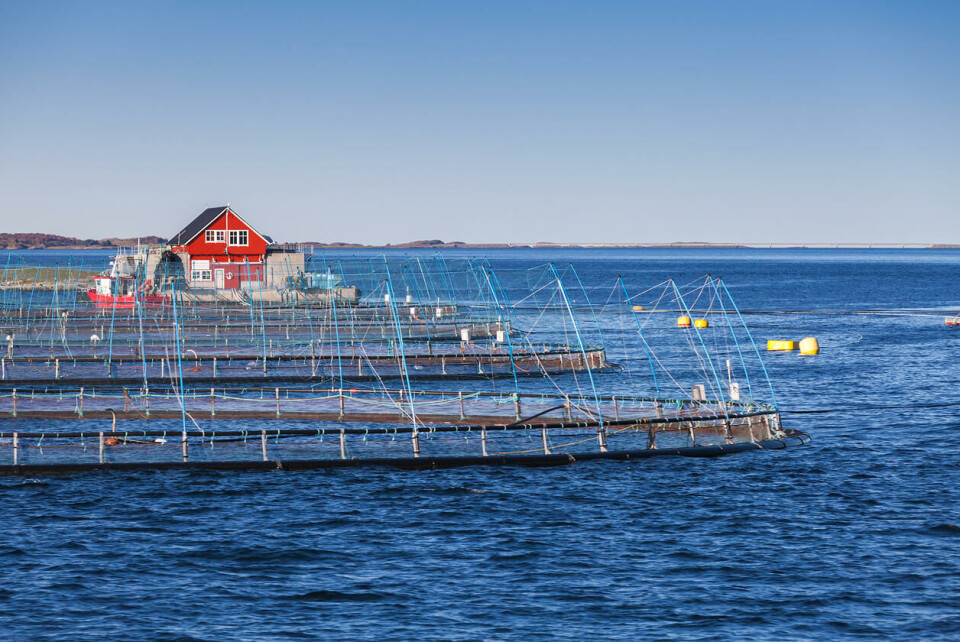 Fiskehelsebiologene bidrar til god fiskehelse i norsk havbruk. Foto: Colourbox.com.