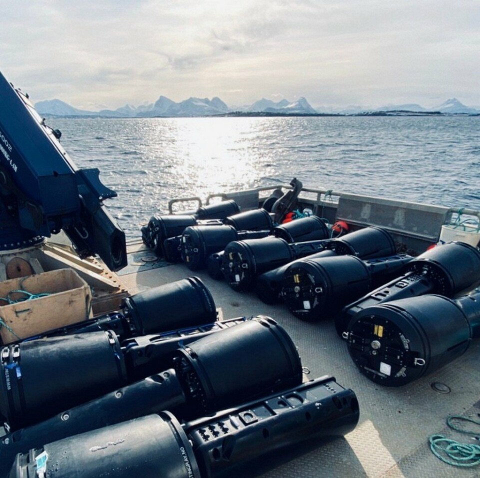 I 2020 doblet Flakstadvåg Laks antall lasere og nå utvides satsingen ytterligere, til 60 lasere. Foto: Stingray Marine Solutions AS