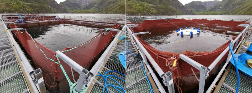 Slik ser kontrollmerden (t.v.) ut sammenlignet med kuppel-merden (t.h.). På dette bildet av kuppelmerden ligger kuppelen foreløpig i overflaten, på det øverste bildet er den senket ned i dypet.
