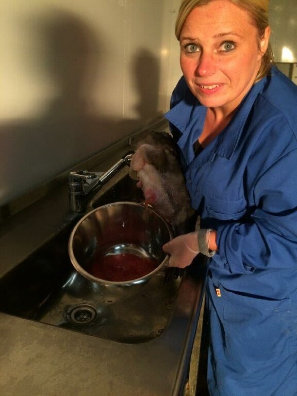 Marita Spigseth jobber både i Tjeldbergodden Rensefisk og i samarbeidsselskapet Morefish hvor hun er prosjektleder. Bildet er tatt under stryking av stamfisk. Foto: Privat.