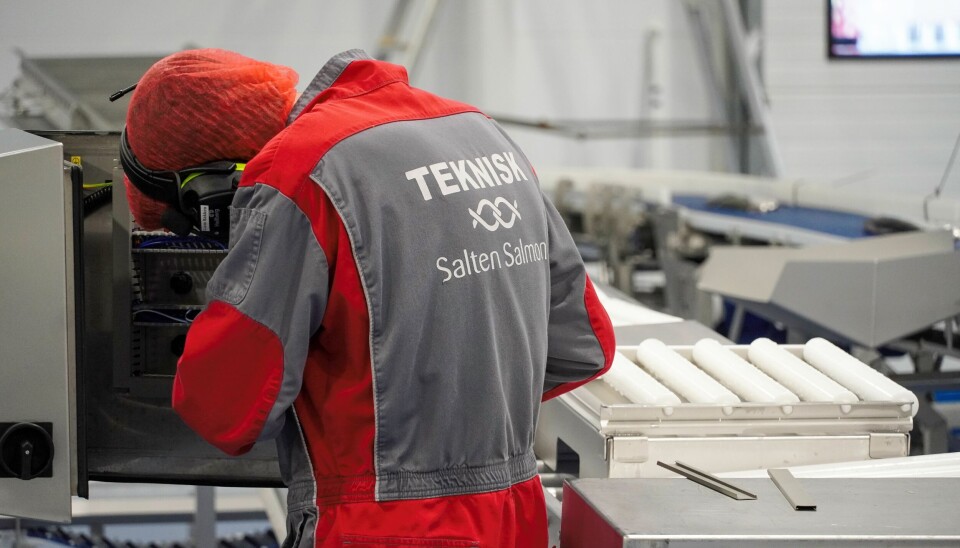 Salten Salmon og Salten Aqua satser stort på filetfabrikken sin i Bodø og har investert over 50 millioner kroner i nytt utstyr og nye maskiner.