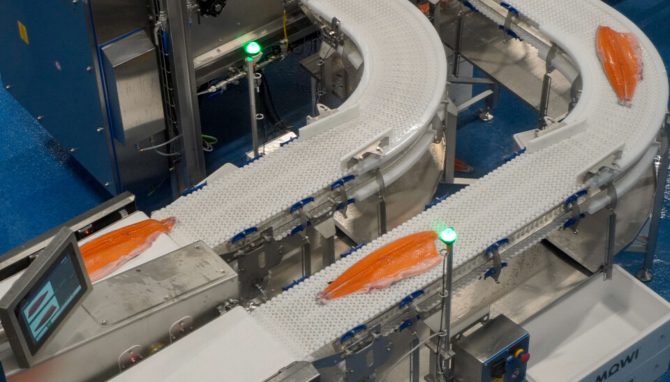 Illustrasjonsfoto: Rekordhøye kostnader gjorde at det økonomiske resultatet for matfiskpodusenter av laks og regnbueørret var betydelig dårligere i 2023 enn i 2022.