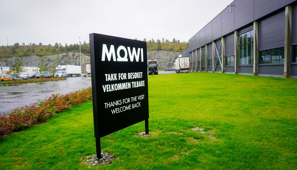 Foto fra Mowi Jøsnøya.