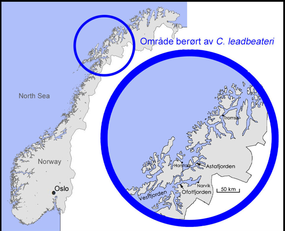 Figur 2. Kart over Norge som viser området der Chrysochromulina leadbeateri-oppblomstringen fant
sted og forårsaket massiv fiskedød i mai–juni 2019 (Samdal et al. Harmful Algal News).