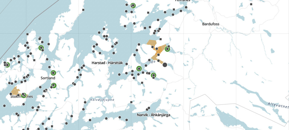 Truer med lusebot på 180 000 kroner per dag