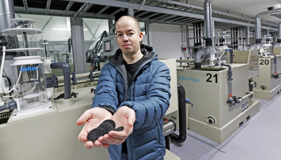 forsker og prosjektkoordinator René Alvestad i Nofima.