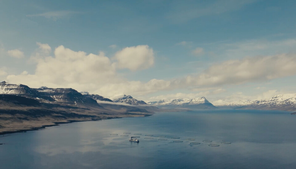 Kaldvík skal ha Aquabyte-systemer i alle merder.