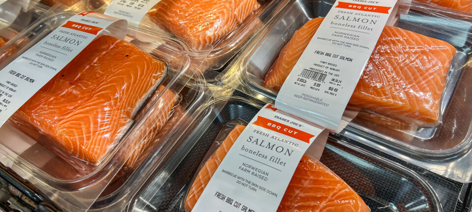 Hva betyr et Trump-comeback for norsk laks?