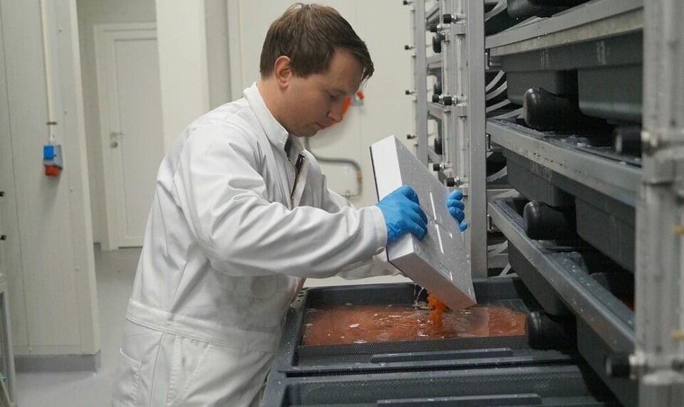 Lasse Solgren er driftsleder på RAS-anlegget som kan produsere seks millioner smolt på 250 gram i løpet av ett år. Foto: Salaks/Salangfisk.