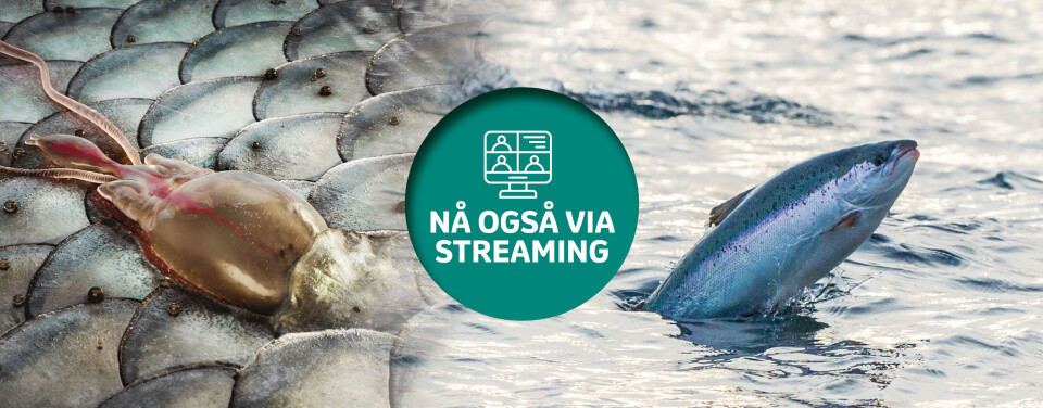 Lakselus: Gode nyheter på seminar