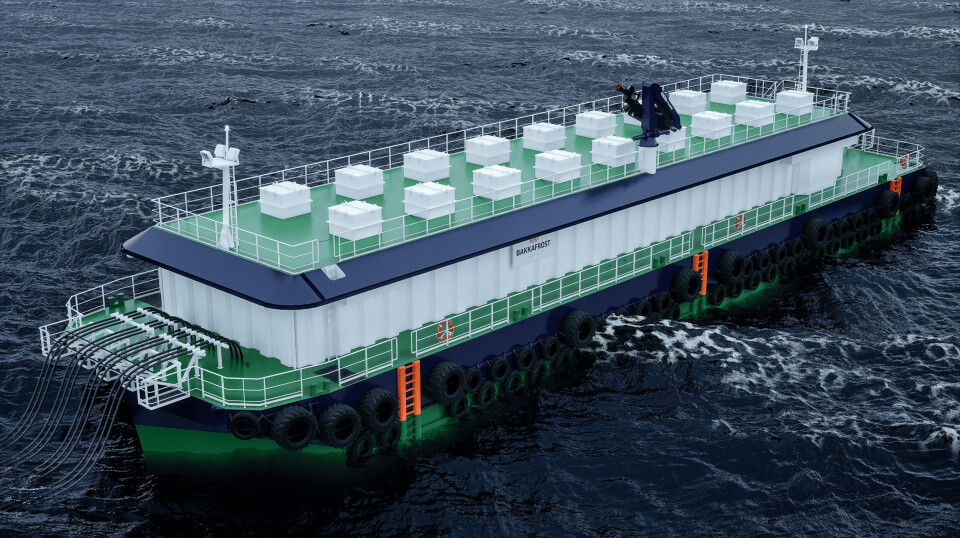 Slik vil den nye flåten til Bakkafrost bli seende ut.