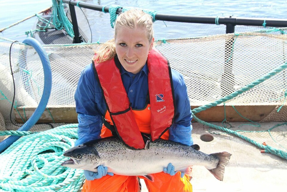 Ingun Næve holder en laks i forbindelse med prøvetaking og vurdering av stamfiskkandidater i AquaGen. Foto: AquaGen