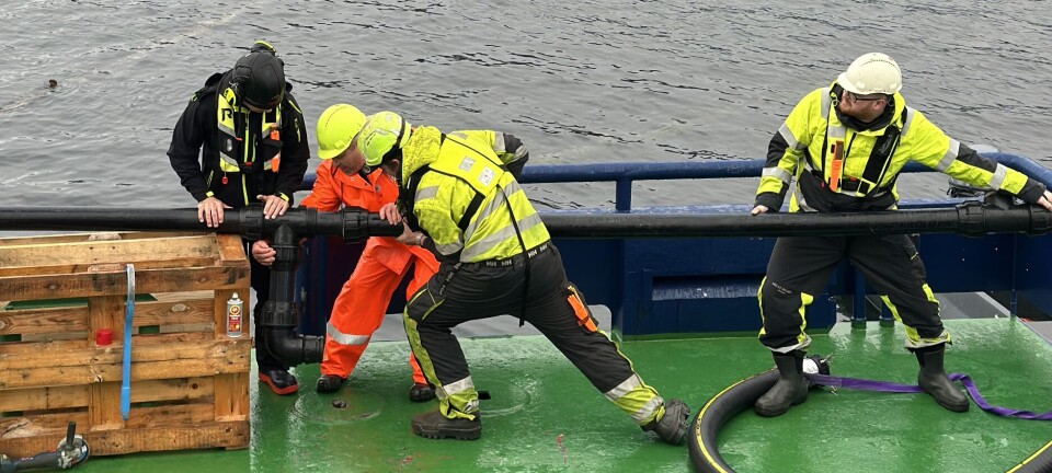 Hevder lakselusfelle har redusert behovet for lusebehandlinger