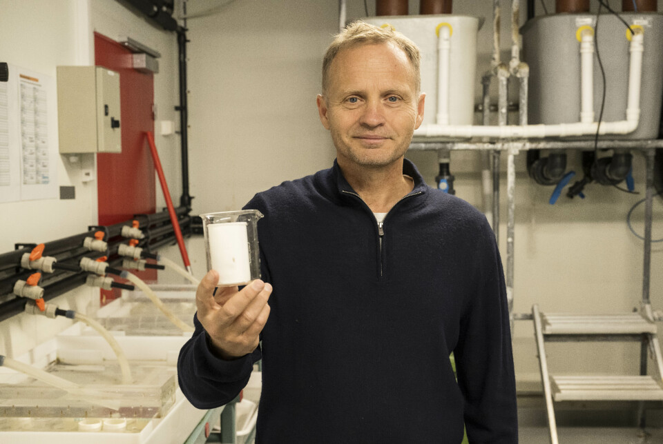 Jan Rune Nordhagen er daglig leder Vestland Pharma.
