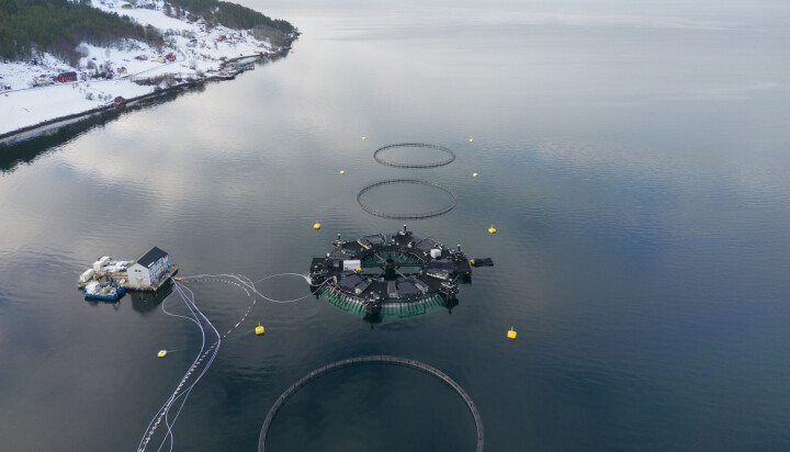 SalMars Marine Donut ligger idyllisk til utenfor Molde.