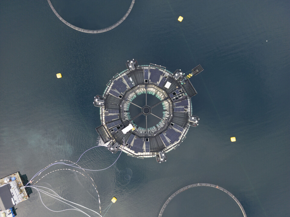 Marine Donut sett ovenfra.