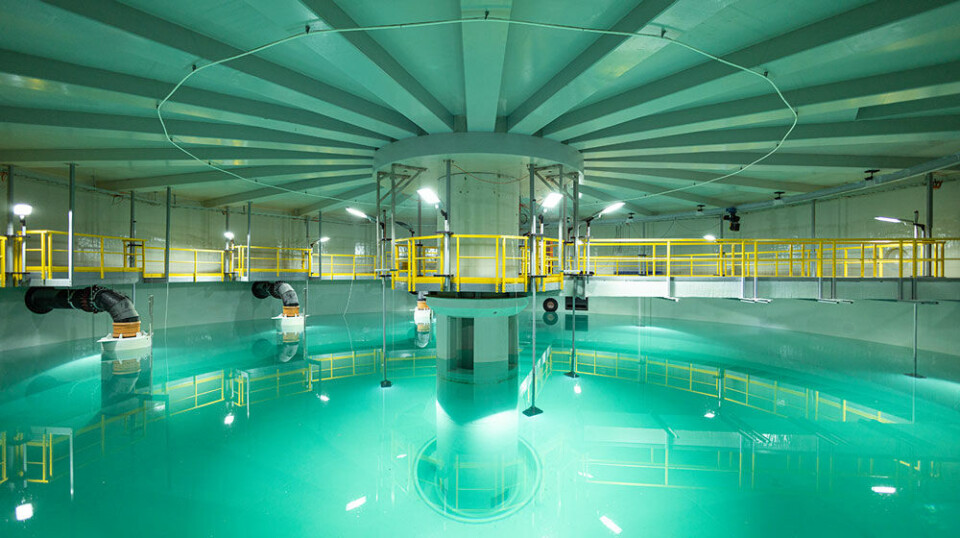 Gangbaner av glassfiber gir enkel tilgang over vannkaret inne i en av tankene til Salmon Evolution.
Foto: Salmon Evolution