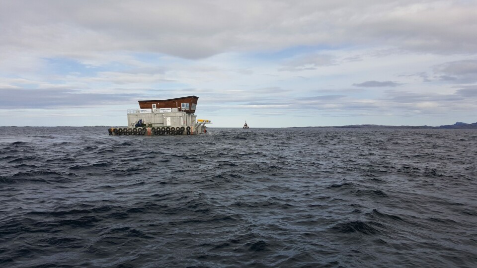 Kvarøy Fiskeoppdretts nye fôrflåte på vei nordover. Foto: Gustav-Erik Blaalid.