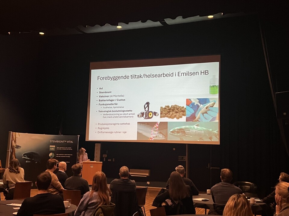 Sårseminar i Rørvik