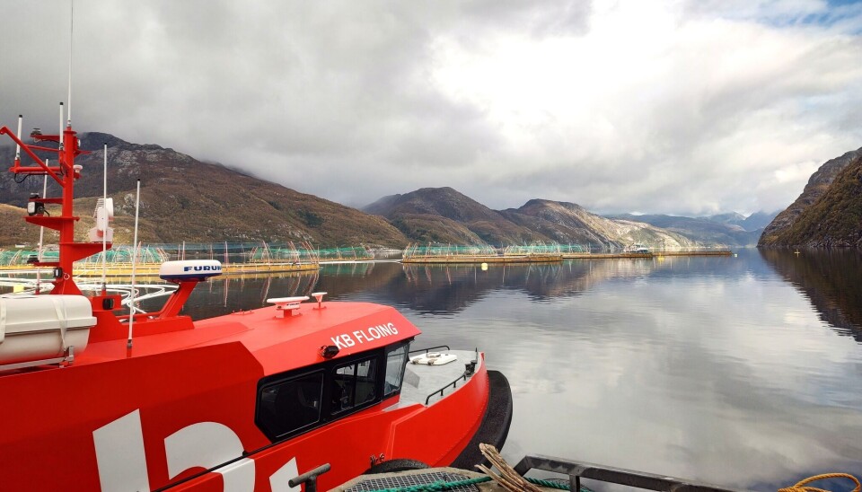 Hendelsen skjedde i forbindelse med dykking fra fartøyet «KB Floing». Bildet av fartøyet er tatt ved en annen anledning.