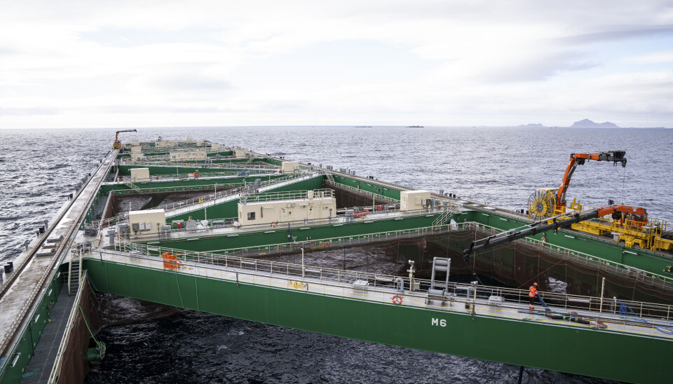 Havfarmen ligger i Hadsel kommune i Nordland.