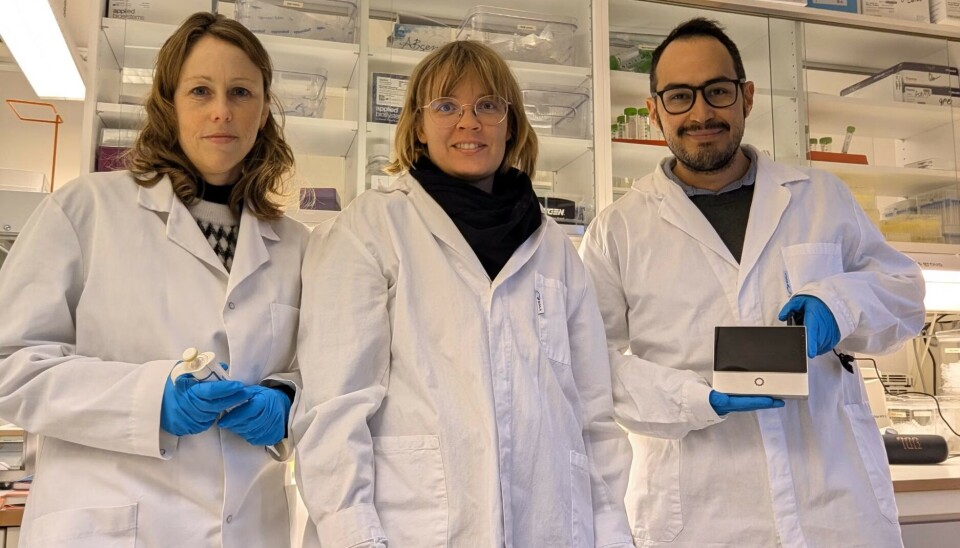 Forskere i teamet i laboratoriet for et første forsøk på såkalt 'genom skimming' av Perlesnormanet. Dette innebærer at man sekvenserer DNA fragmenter av maneten. Fra venstre Ragnhild Pettersen (Akvaplan-niva), Sanna Majaneva (Akvaplan-niva) og Luis Felipe Martell Hernandez (UiB).