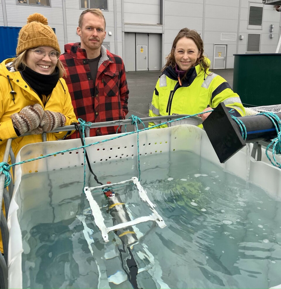Den optiske sensoren UVP6 er montert i en tank med perlesnormanet. Fra venstre Sanna Majaneva, Fredrik Staven og Ragnhild Pettersen. Alle fra Akvaplan-niva.