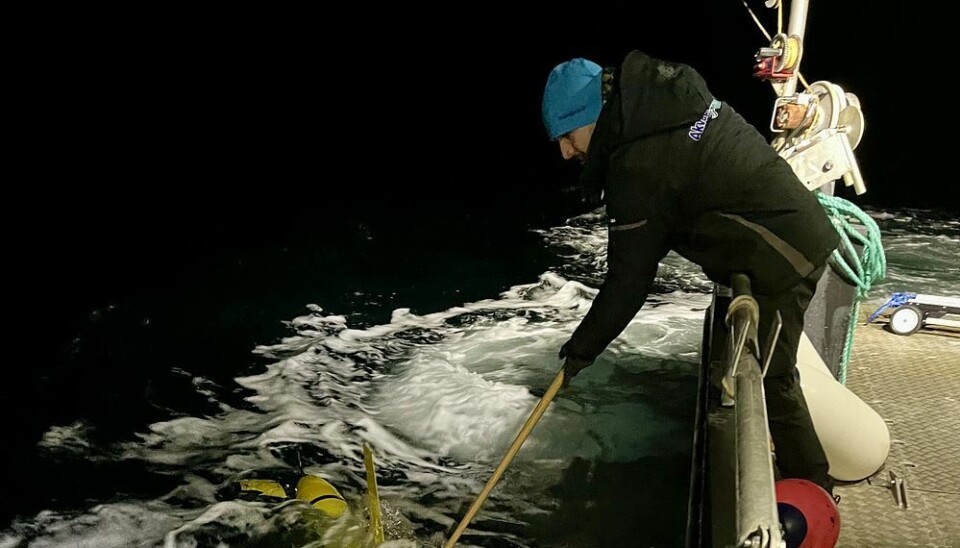 Drone-eksperter fra Akvaplan-niva på feltarbeid i Lyngenfjorden som del av JellySafe prosjektet. Utsett av havdronen Slocum glider produsert av Teledyne Marine