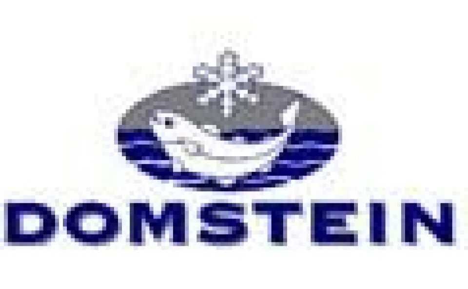 Domstein logo