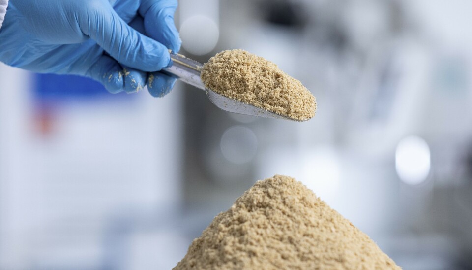 Nofima testet ulike nivå av produktet AlgaPrime™ DHA LS i fôr til oppdrettslaks.