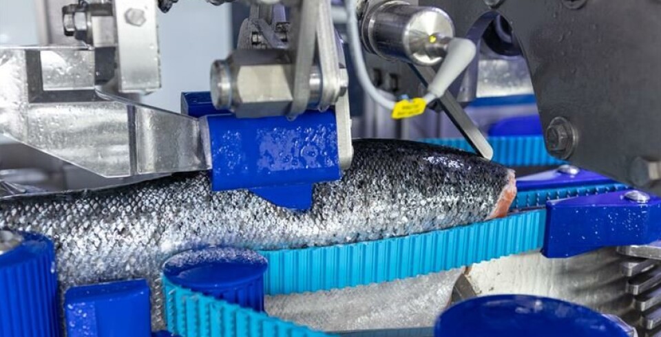 MS 2750 er Marels fjerde generasjons fileteringsmaskin, og skal nå installeres hos Sotra fiskeindustri.