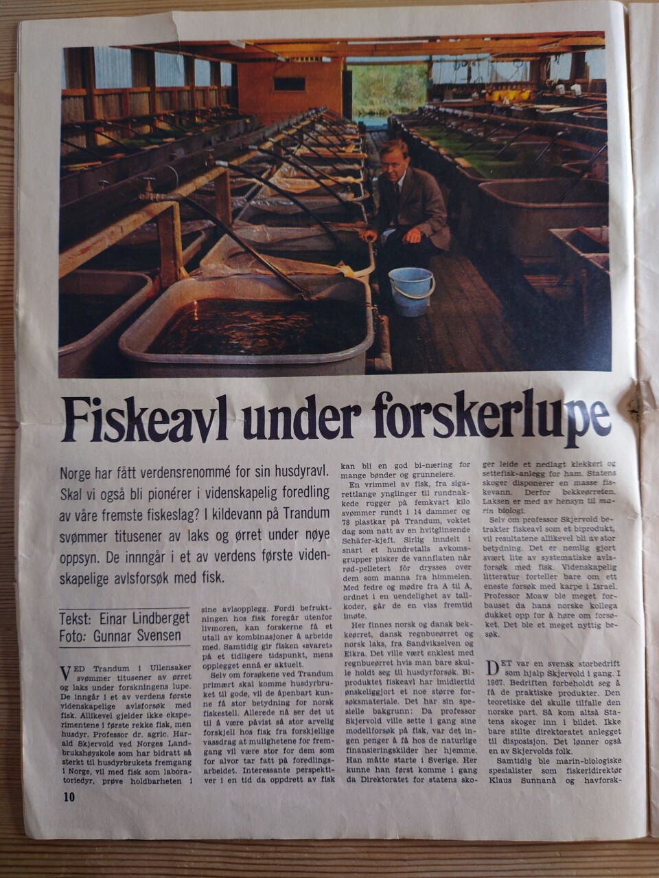 Artikkel i Aftenpostens A-Magasin, november 1969