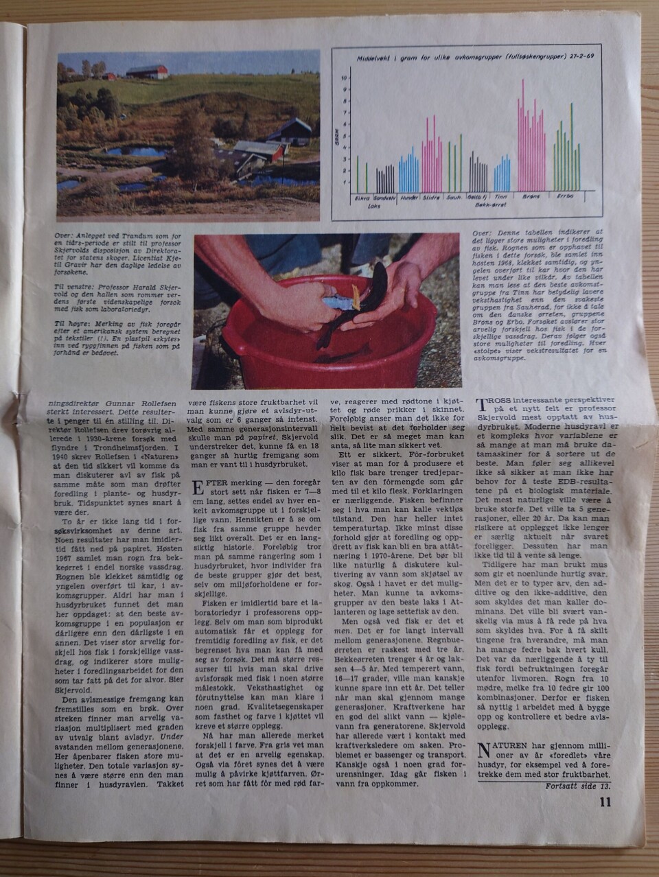 Stor reportasje i Aftenpostens A-Magasin den 29. november 1969.