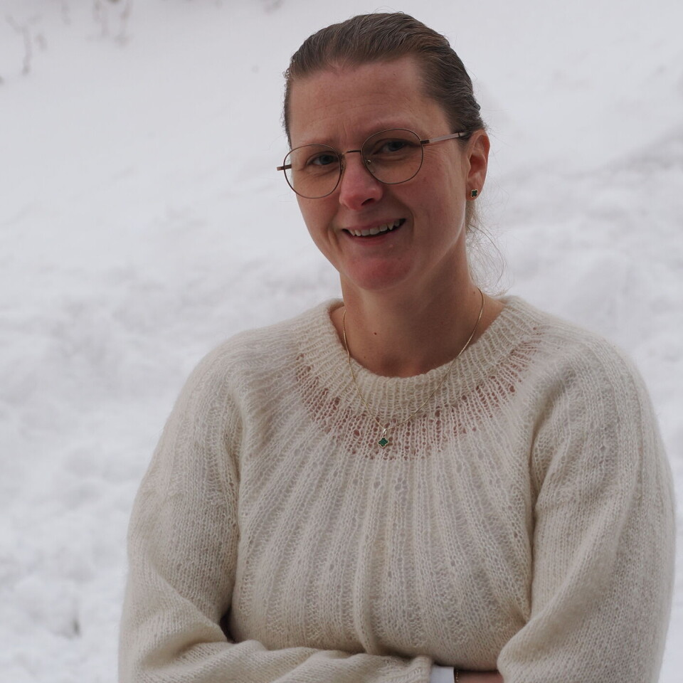 Elin Williksen er ansatt som Controller.