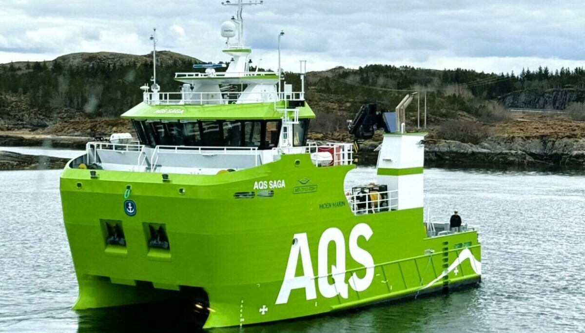 Kjøper halvparten av AQS