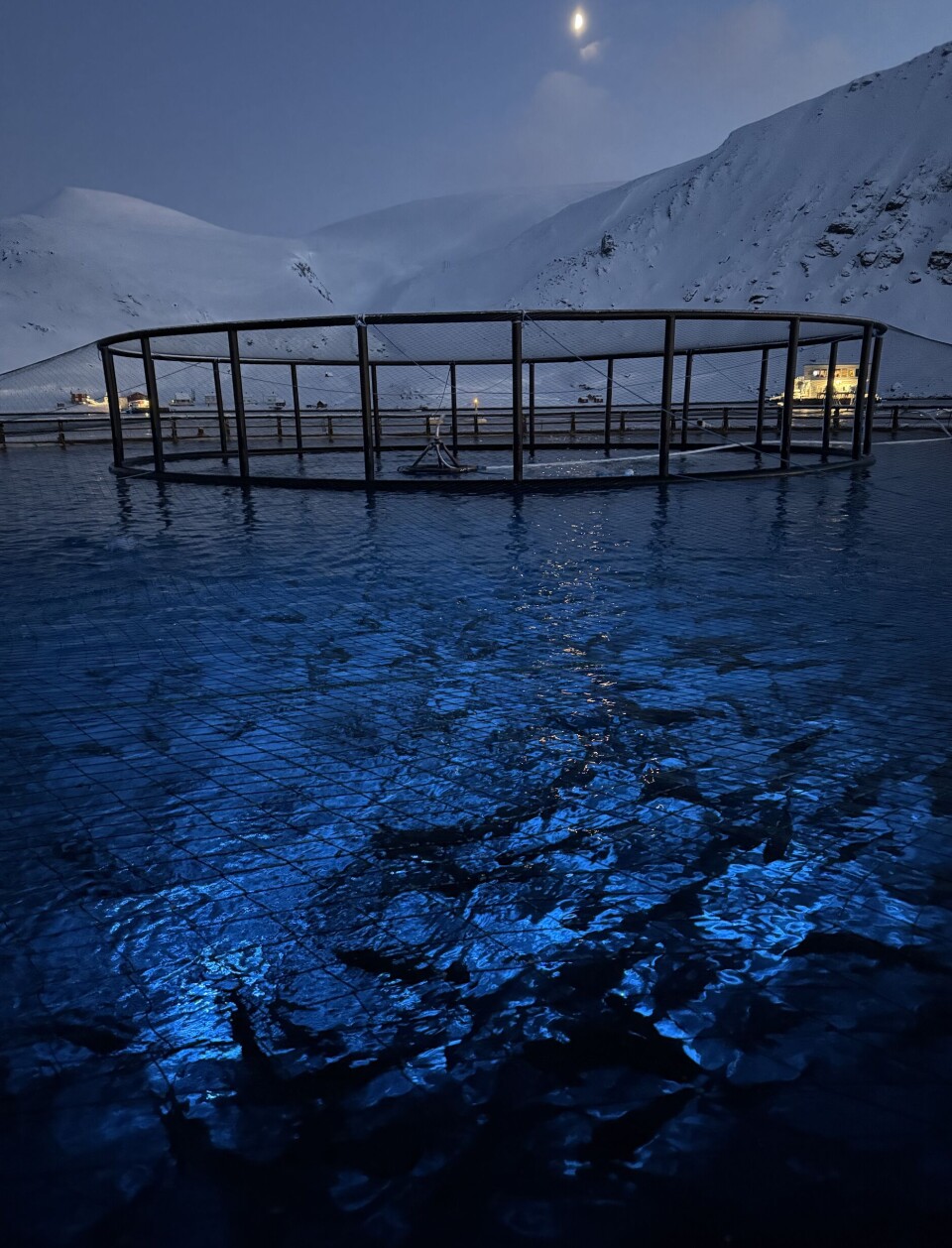 Laholmen i Nordkapp.